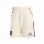 Thailandia Pantaloni Ajax Terza 2025 2026