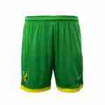 Thailandia Pantaloni Norwich City Prima 2025 2026